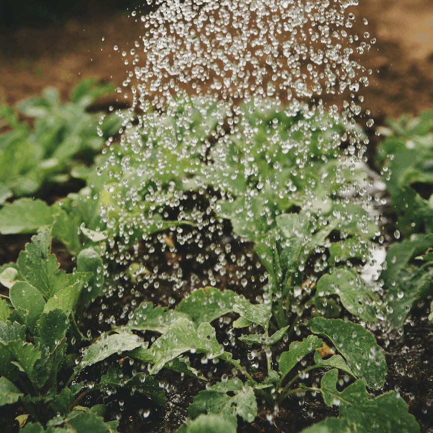 Screenshot 2025-04-30 at 11.58.29 AM